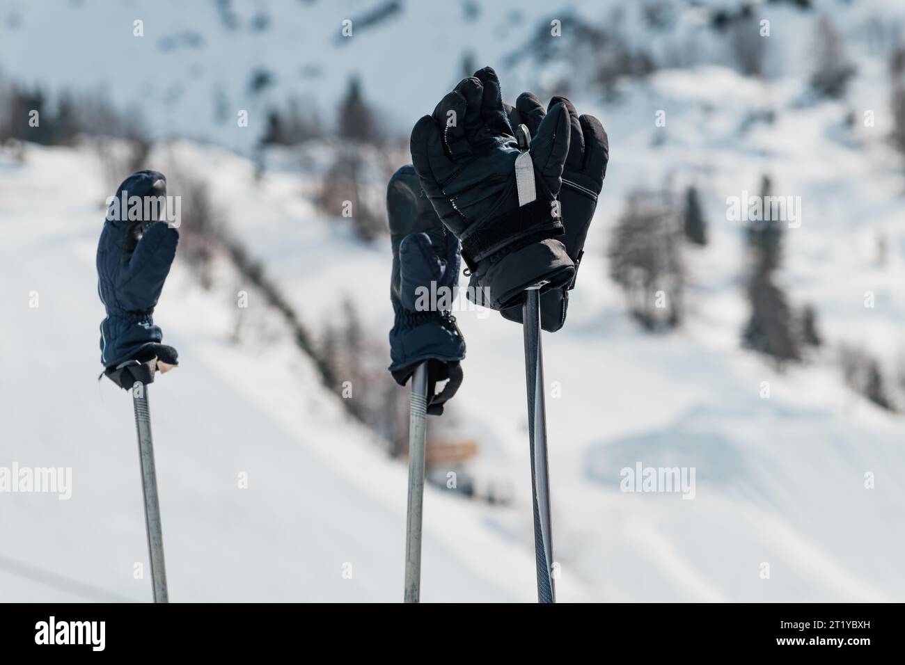 Guantes De Esquí Para Esquiar En Invierno Fotos, retratos, imágenes y  fotografía de archivo libres de derecho. Image 95151603