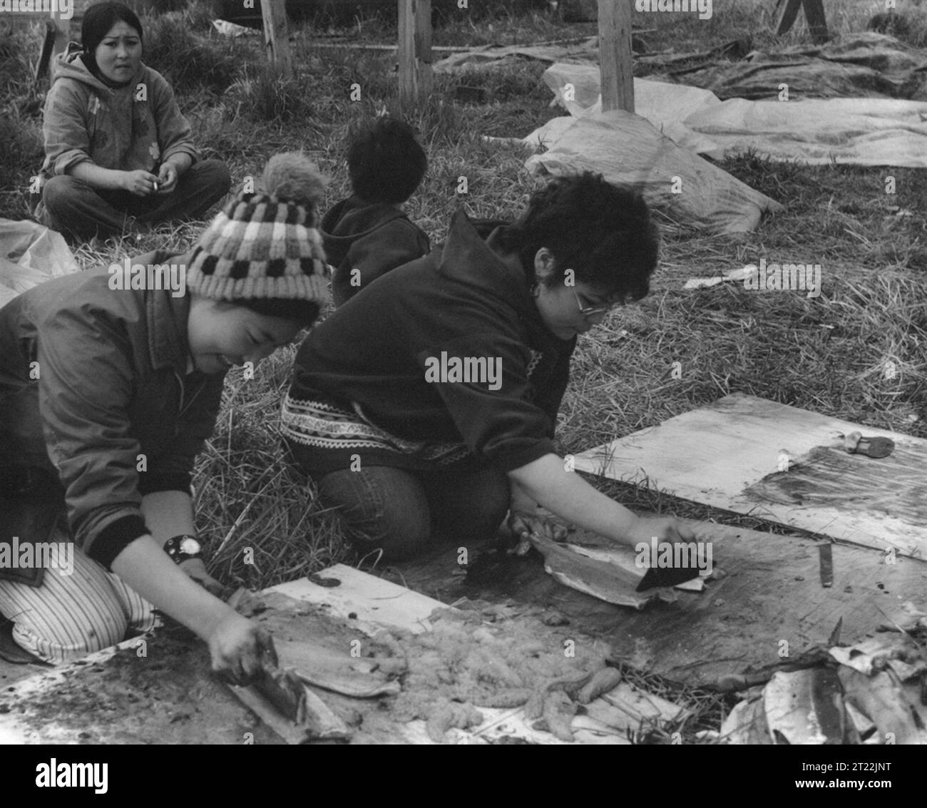 Mujeres nativas de Alaska fileteando salmón de perro. Mekoryuk, Isla Nunivak. Temas: Refugios de Vida Silvestre; Refugio Nacional de Vida Silvestre del Delta del Yukón; YUDE; Subsistencia; Pesca; Nativos Americanos; aldeas; ARLIS; Alaska. Foto de stock