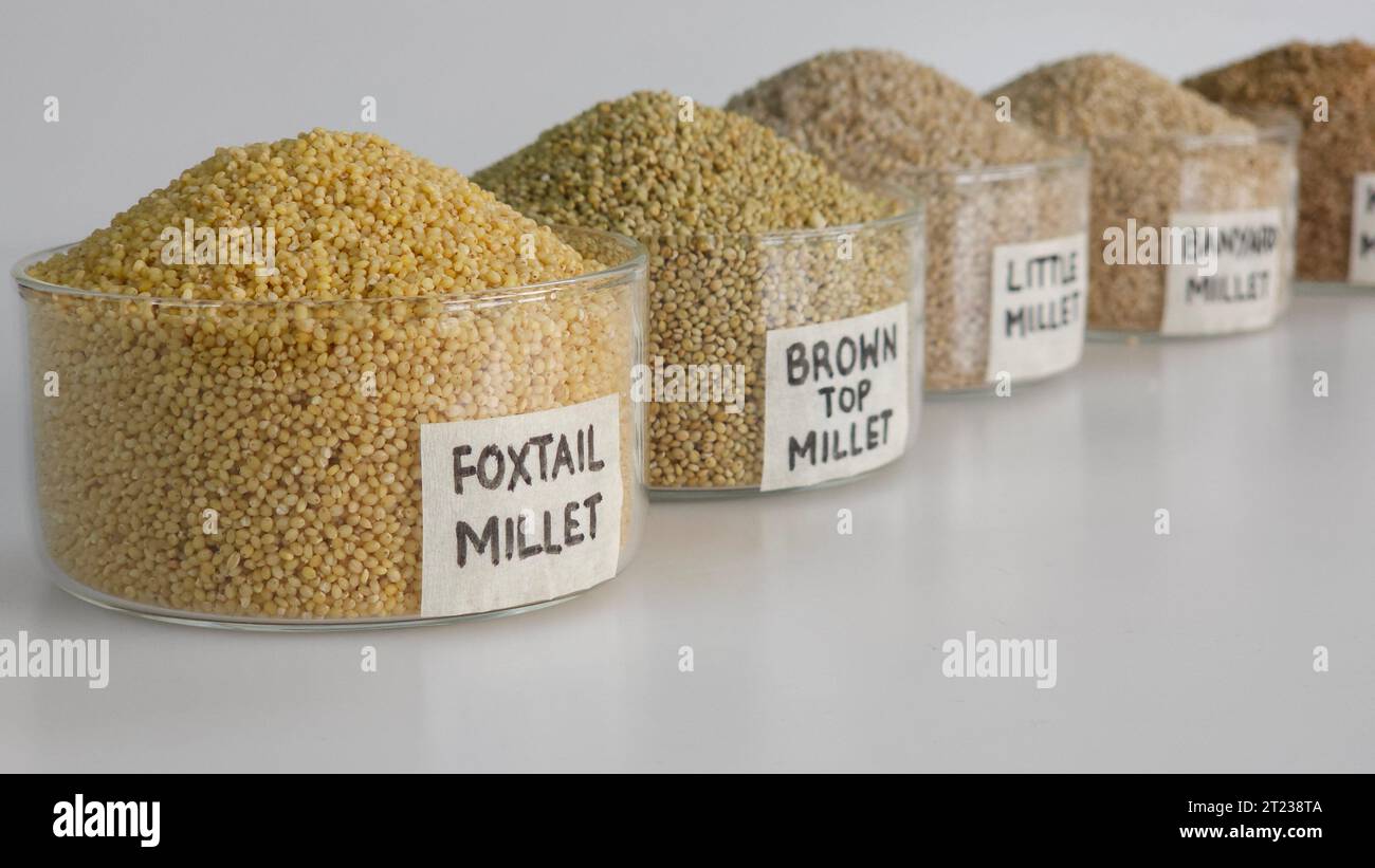 Siridhanya millets o cinco millets positivos son un grupo de cinco