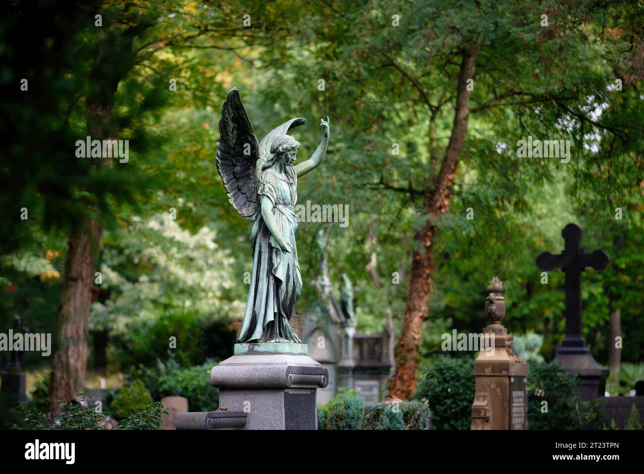 figura de ángel en una tumba y muchas tumbas históricas en el romántico cementerio de melaten en colonia Foto de stock