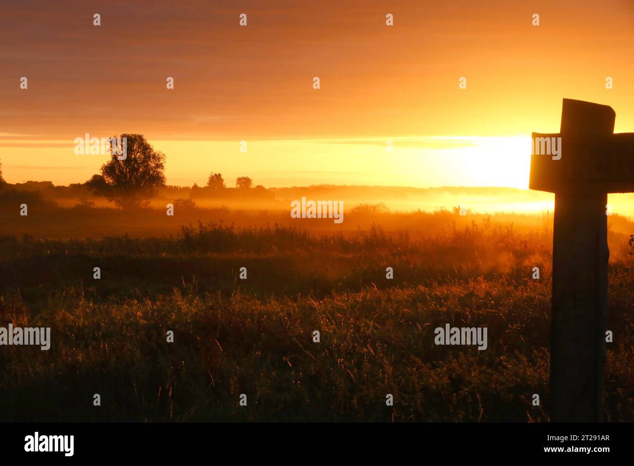 Blick am Dienstag 17.10.2023 unweit von Dargun Landkreis Mecklenburgische Seenplatte auf einen Sonnenaufgang über dem Naturschutzgebiet Peenetal. Mecklenburg Vorpommern hält mit 1700 Kilometer Ostseeküste den sonnenreichsten Inseln in Deutschland und Sehenswürdigkeiten 2000 seen mit verschiedenen über zu jeder Jahreszeit zahlreiche Angebote für Touristen bereit. Aquí se puede encontrar el lugar donde se encuentra la ciudad, donde se puede visitar la región de turismo de Alemania gehört. Así es como el Peenetal no es más que un anderem bekannt für seine seltenen Tier- und Pflanzenarten sowie die besondere Foto de stock