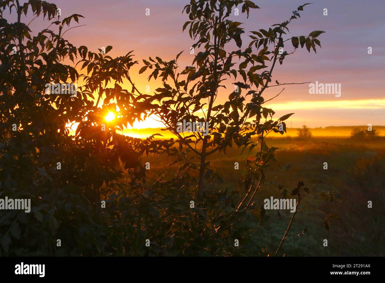 Blick am Dienstag 17.10.2023 unweit von Dargun Landkreis Mecklenburgische Seenplatte auf einen Sonnenaufgang über dem Naturschutzgebiet Peenetal. Mecklenburg Vorpommern hält mit 1700 Kilometer Ostseeküste den sonnenreichsten Inseln in Deutschland und Sehenswürdigkeiten 2000 seen mit verschiedenen über zu jeder Jahreszeit zahlreiche Angebote für Touristen bereit. Aquí se puede encontrar el lugar donde se encuentra la ciudad, donde se puede visitar la región de turismo de Alemania gehört. Así es como el Peenetal no es más que un anderem bekannt für seine seltenen Tier- und Pflanzenarten sowie die besondere Foto de stock