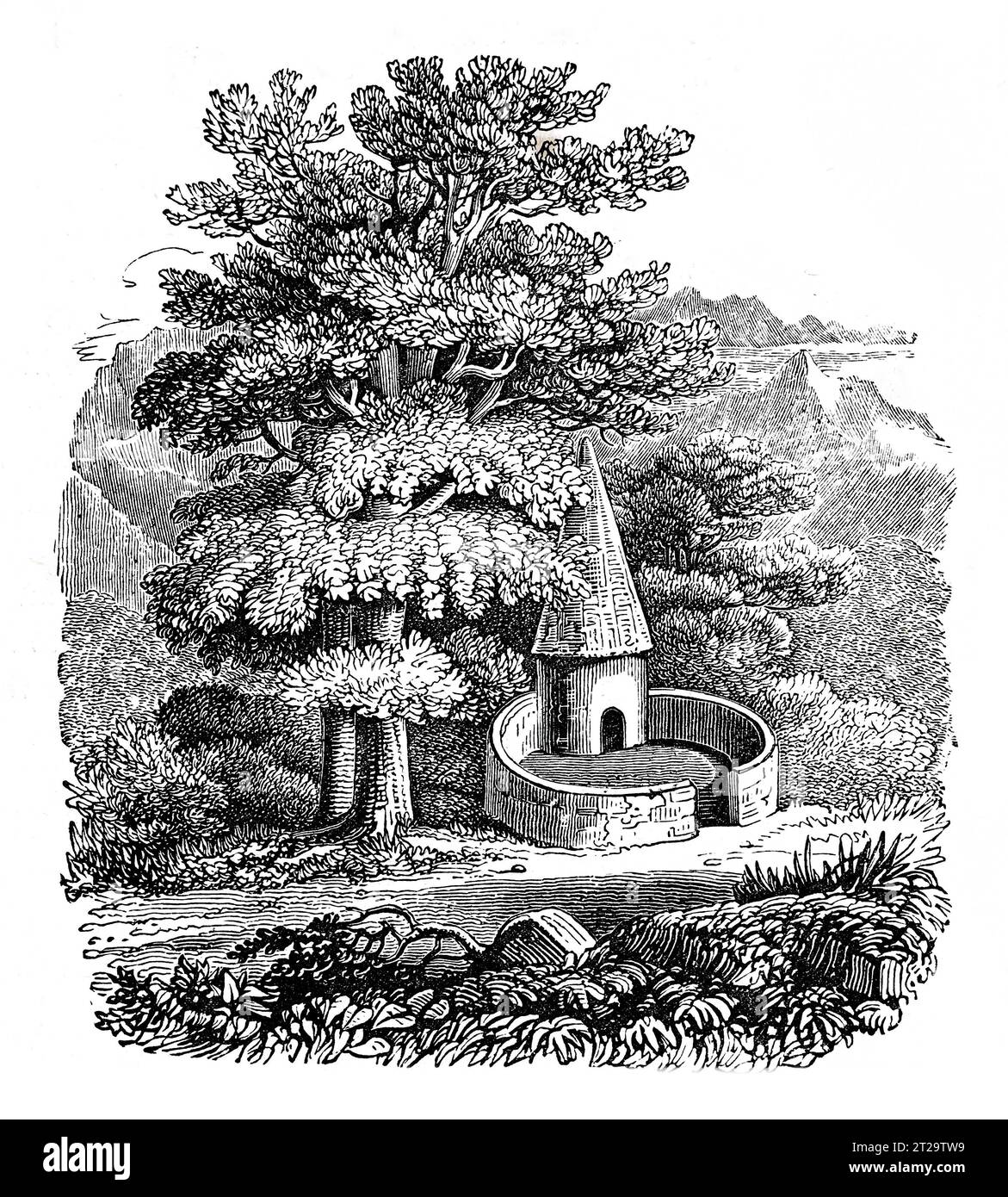 Una lechuga galesa. Ilustración en blanco y negro de la 'Vieja Inglaterra' publicada por James Sangster en 1860. Foto de stock