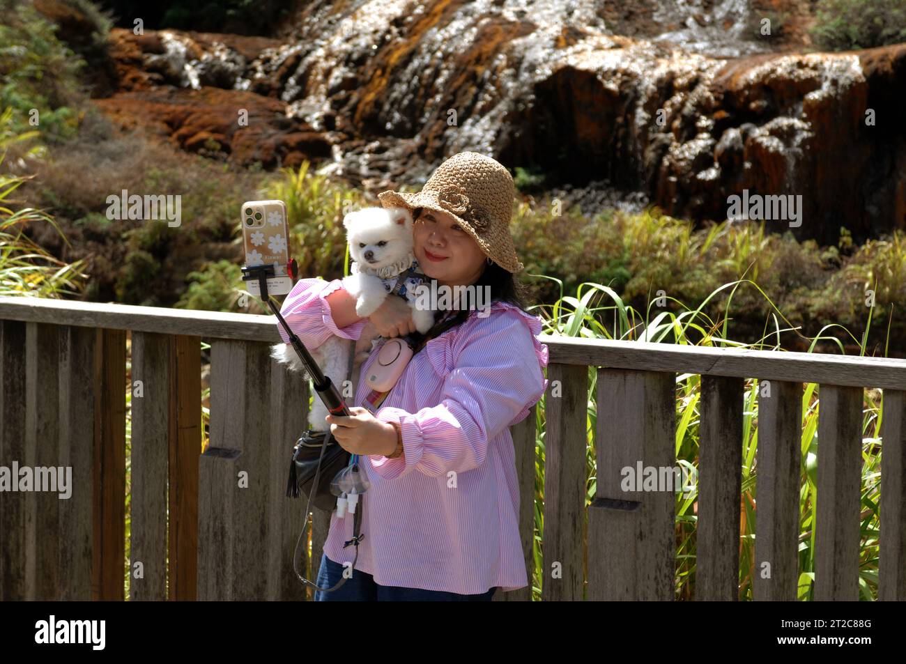 Señora con el perro en sus brazos tomando un selfie, cascada de oro, Jiufen, distrito de Ruifang, New Taipei, Taiwán. Foto de stock