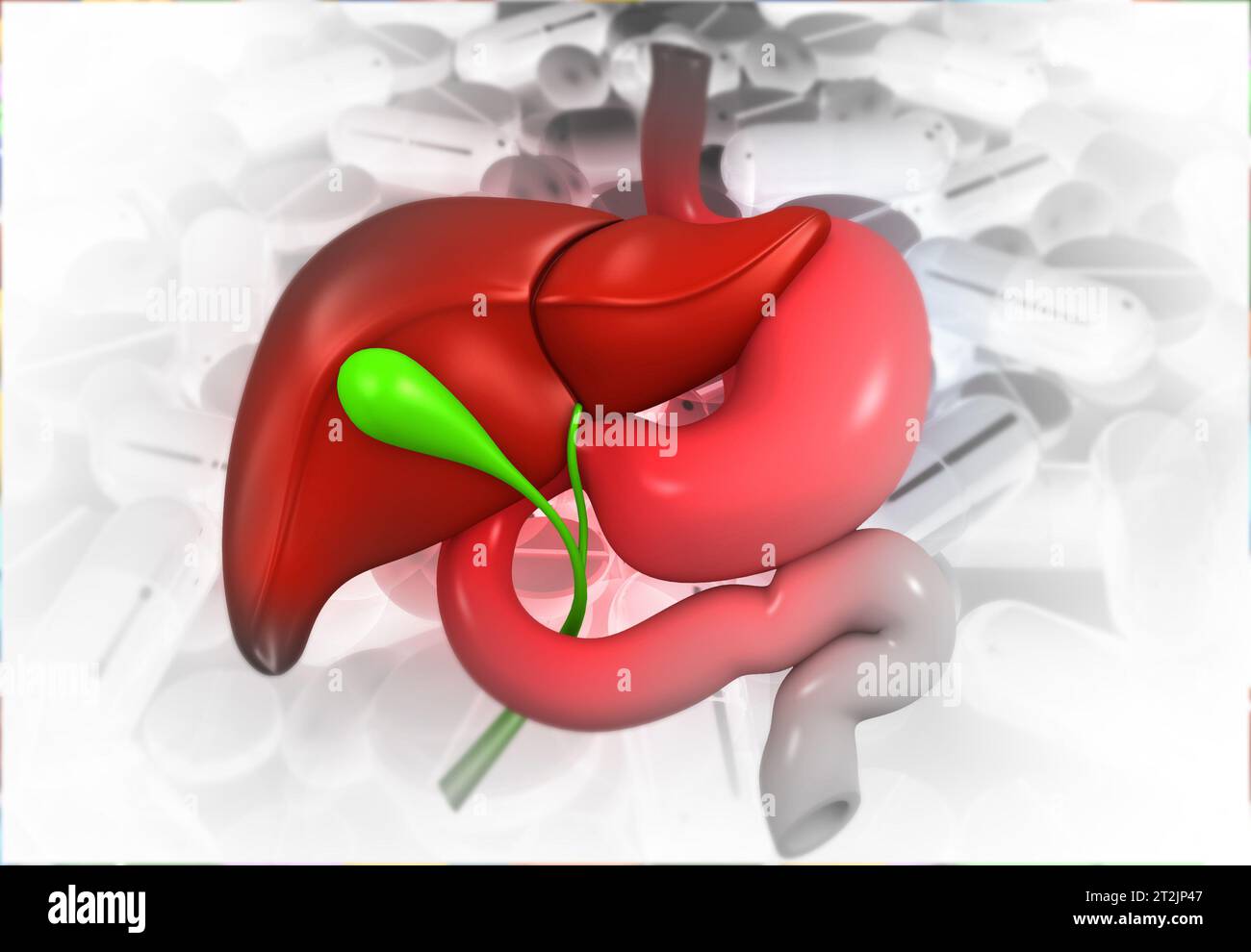Hígado humano, sistema digestivo en el fondo médico. 3d ilustración Foto de stock