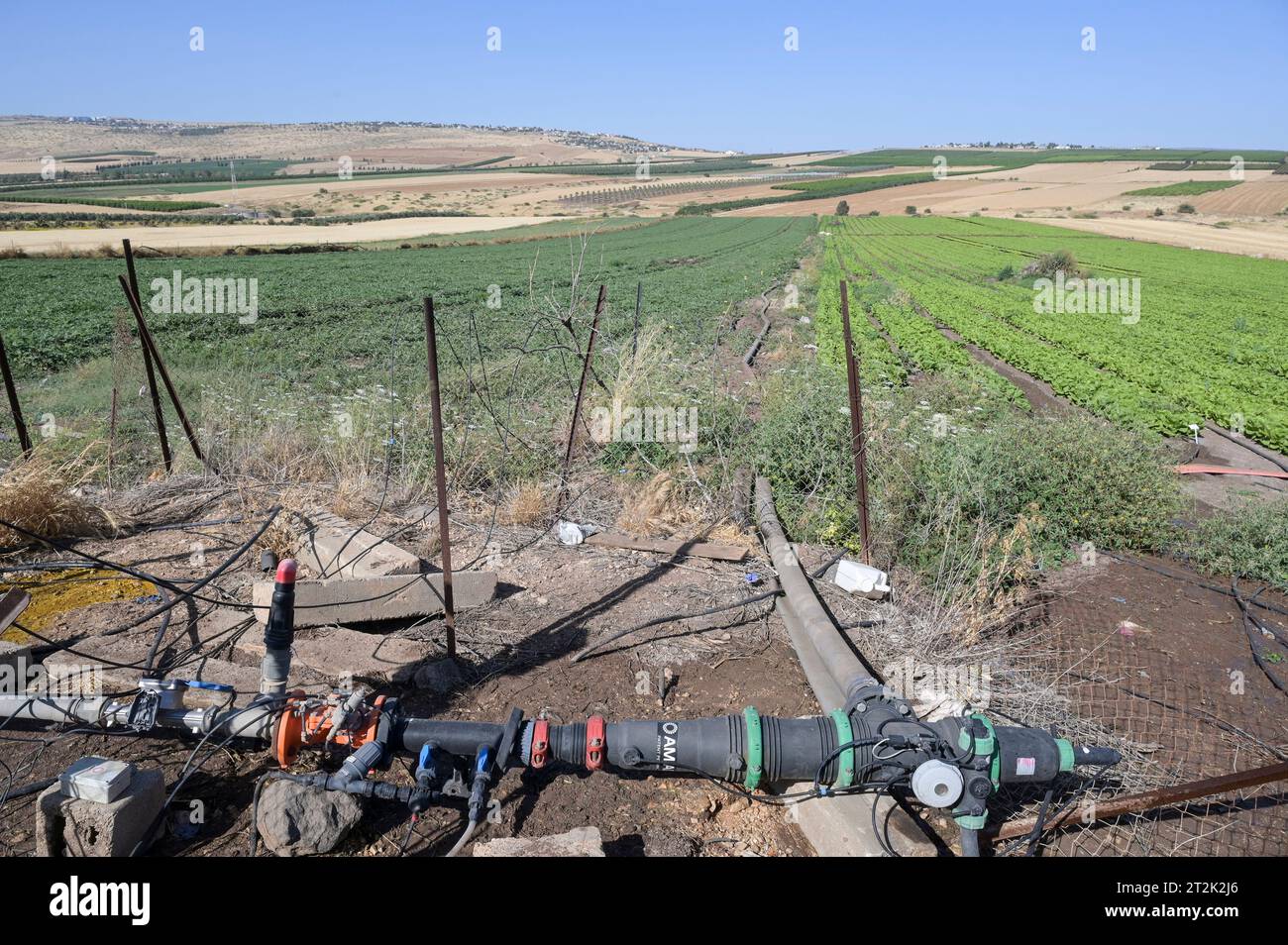 Una manguera de riego por goteo yace en el suelo en israel