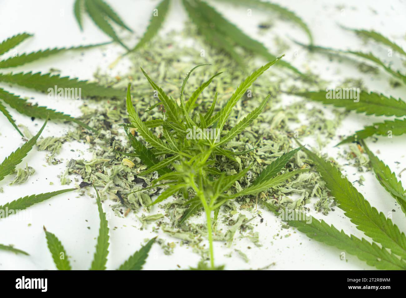 Equipo fumar hierba en la mesa legalización del cannabis cbd y thc en  cogollos de cannabis cogollos de cannabis hierba sobre fondo de madera pipa para  fumar marihuana