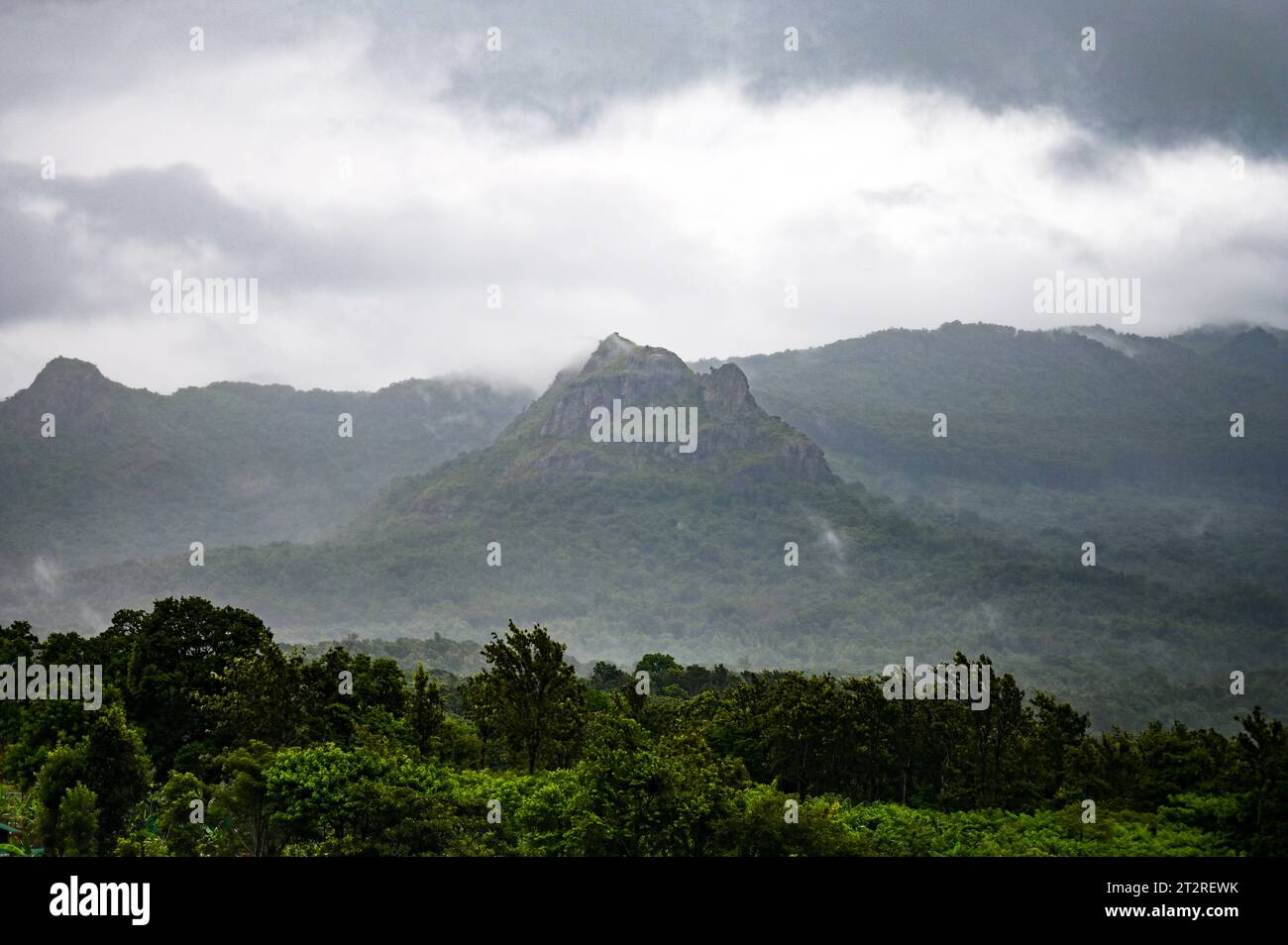 Un hermoso paisaje de montaña de Gudallur, Tamil nadu Foto de stock