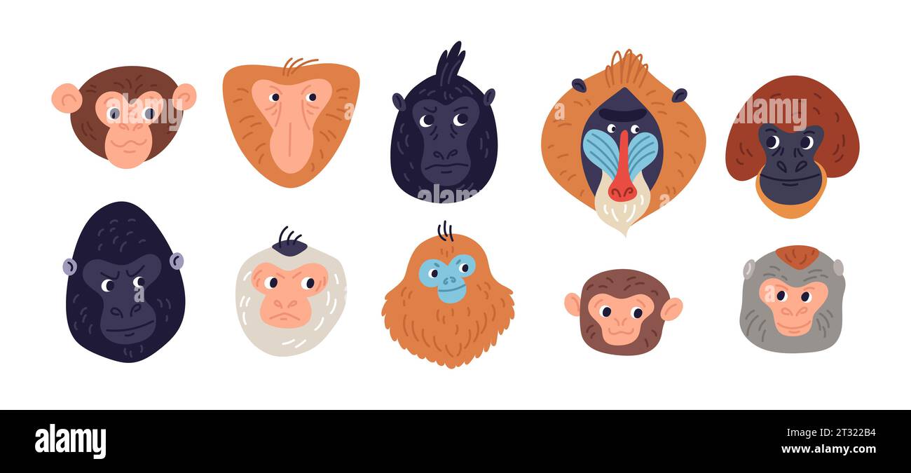 Cabezas de monos de dibujos animados. Diferentes razas de primates divertidos. Animales exóticos bozales. Gorila y gibbon. Mamíferos salvajes. Retratos de chimpancés. Orangután y. Ilustración del Vector