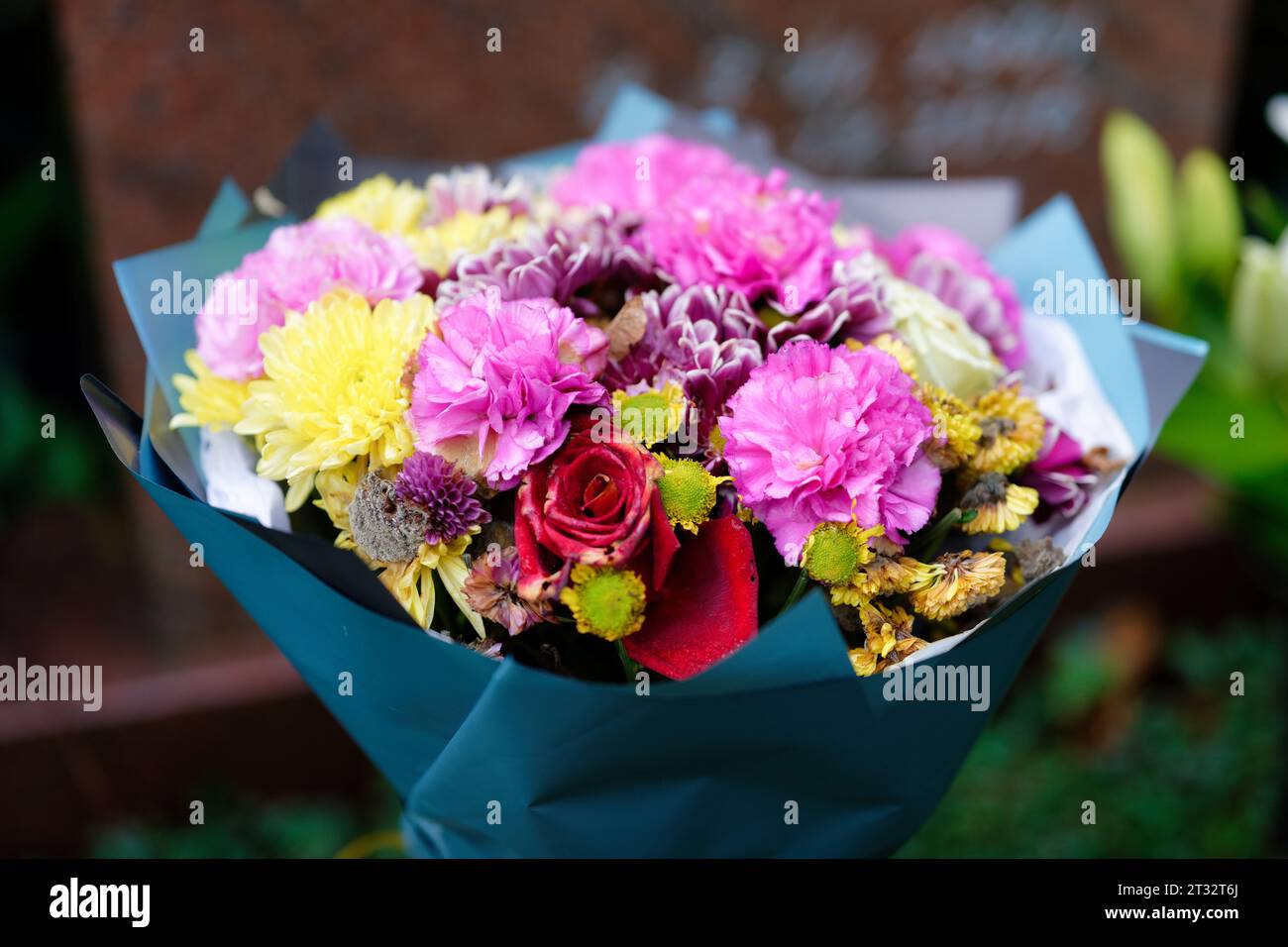 24,00 € ramo encuadernado colorido de flores en cubierta de papel sobre una tumba en un cementerio Foto de stock