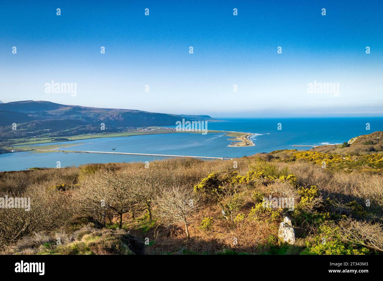 Una vista del estuario de Afon Mawddach, con el puente ferroviario de Barmouth, vista desde el Panorama Walk. Foto de stock