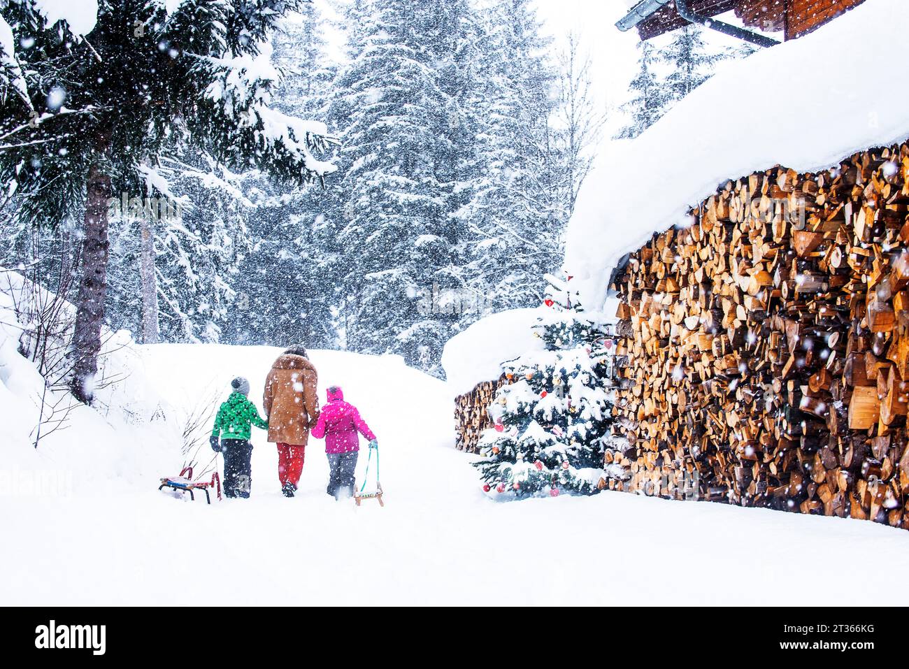 Mujer mayor de la mano y caminando con los niños tirando del trineo en la nieve Foto de stock