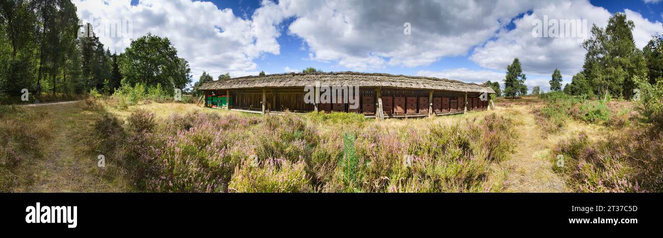 Colmena histórica en el Heath de Lueneburg cerca de Undeloh, distrito de Harburg, Baja Sajonia, Alemania Foto de stock