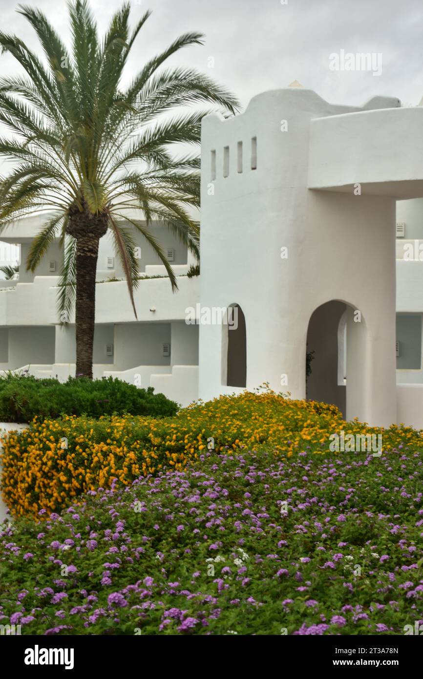 Hotel H10EsteponaPalacio, fachada blanca, plantas, arquitectura, lugar para relajarse. Foto de stock