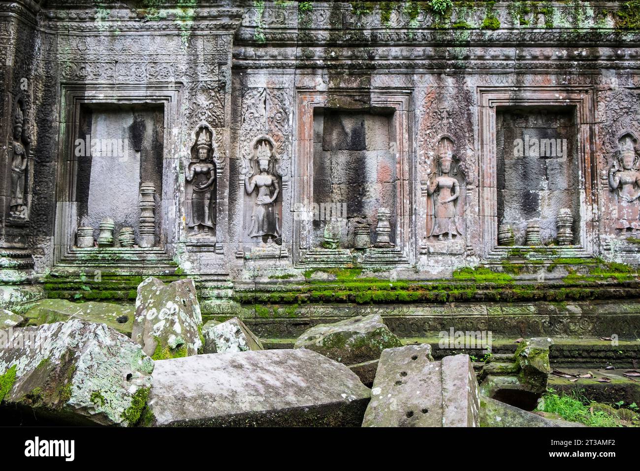 Camboya, templo de Ta Phrom Foto de stock