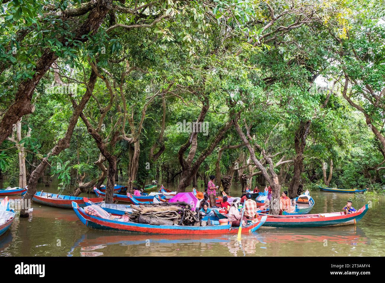 Camboya, Kampong Phluk Foto de stock