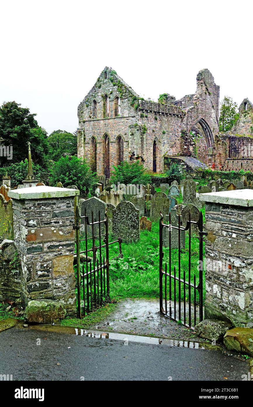 Ruinas de la abadía gris Península de Ards Irlanda del Norte Islas Británicas Reino Unido Reino Unido Foto de stock