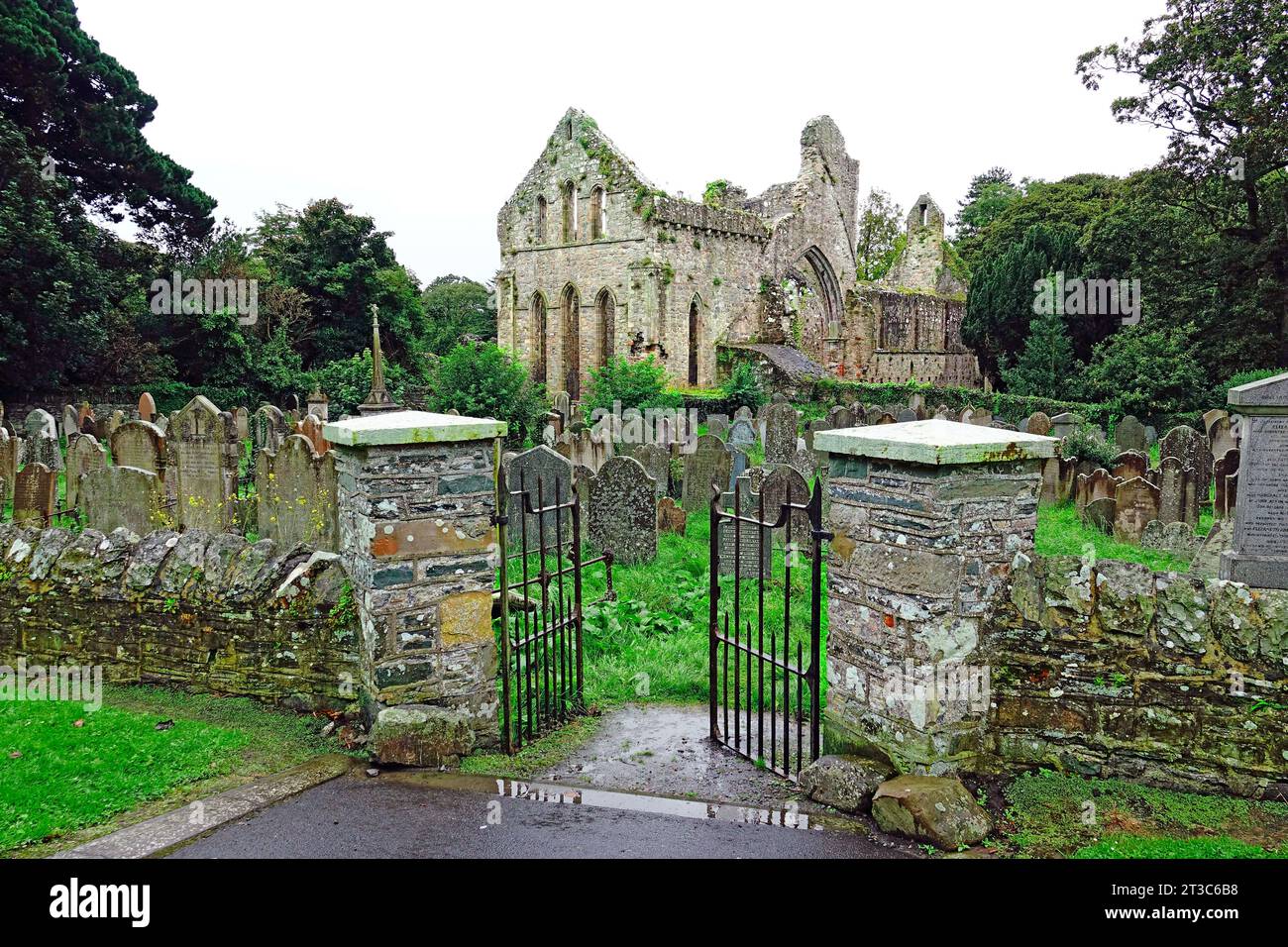 Ruinas de la abadía gris Península de Ards Irlanda del Norte Islas Británicas Reino Unido Reino Unido Foto de stock