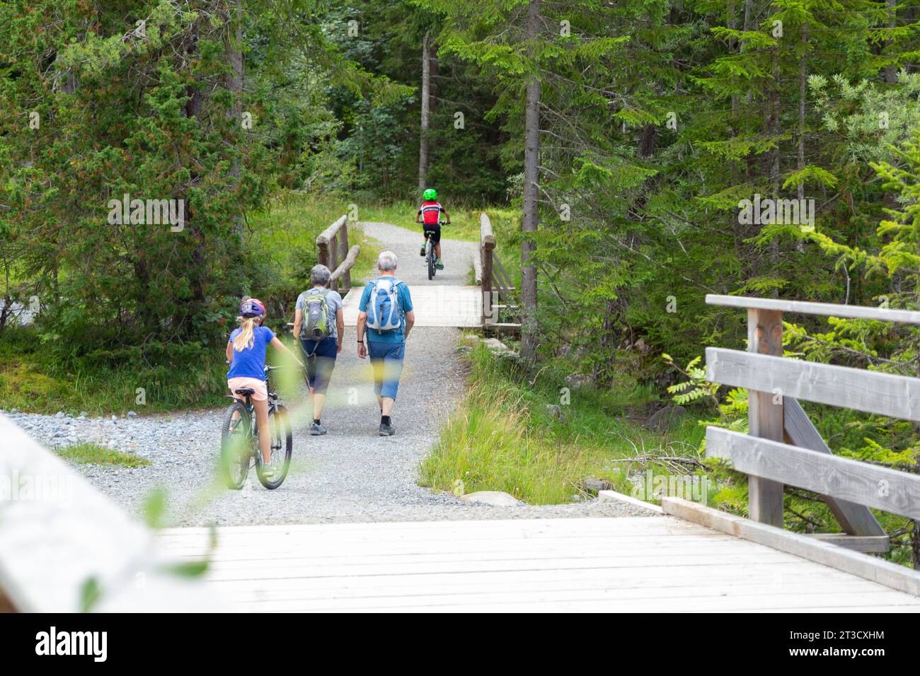 Kandersteg, Suiza–agosto de 3,2023: Hombre y mujer de edad blanca caminan en el bosque de los Alpes Foto de stock