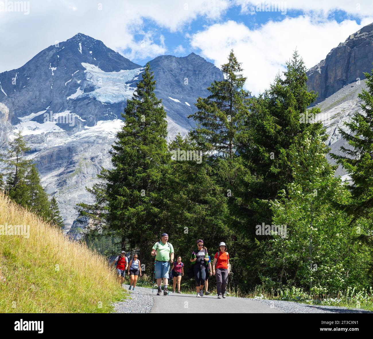 Kandersteg, Suiza–agosto de 3,2023: Gente blanca que camina en los Alpes con montañas de nieve y pinos Foto de stock