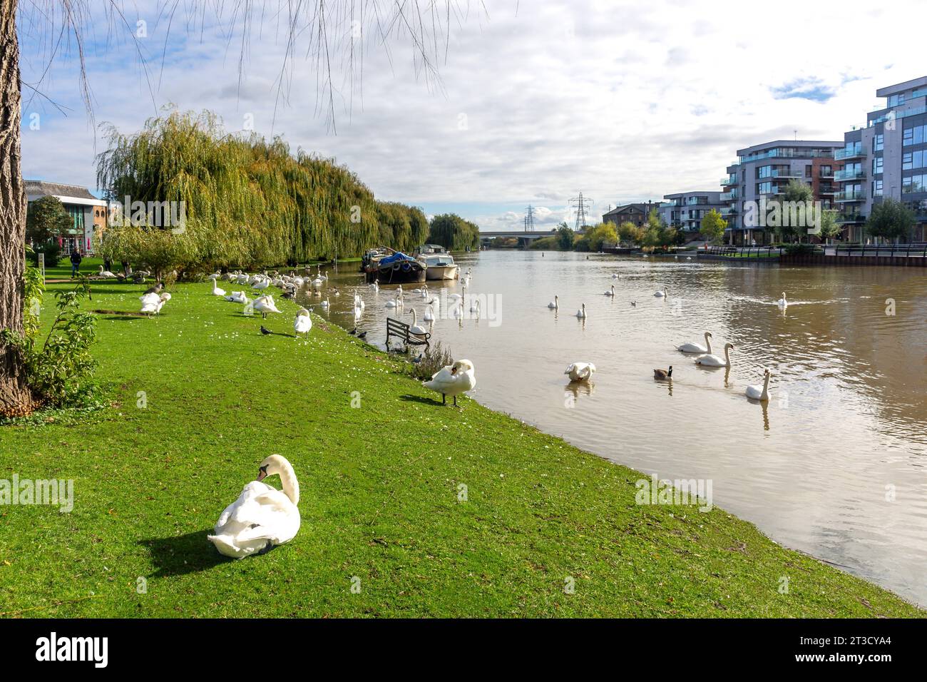 Paseo de la ribera en las orillas del río Nene, Rivergate, Peterborough, Cambridgeshire, Inglaterra, Reino Unido Foto de stock