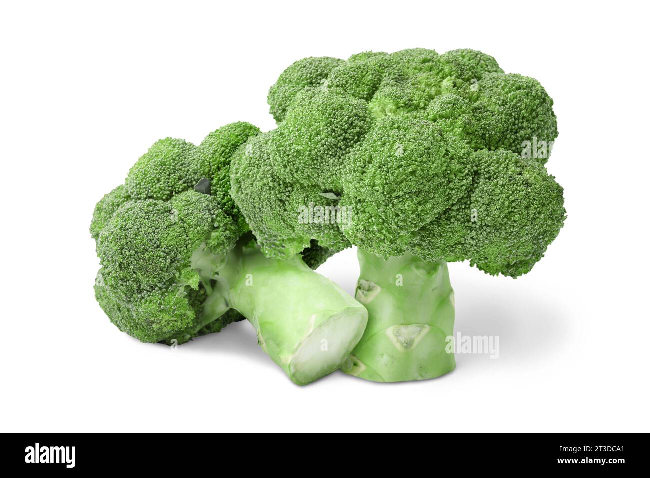 Brócoli verde fresco sobre fondo blanco. Planta comestible Foto de stock