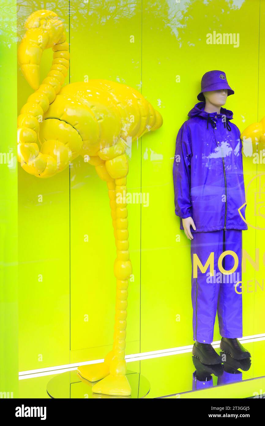 Francia, Alpes Marítimos, Cannes, Croisette, ventana de la tienda Moncler (especializada en chaquetas de gama alta y ropa de esquí) Foto de stock