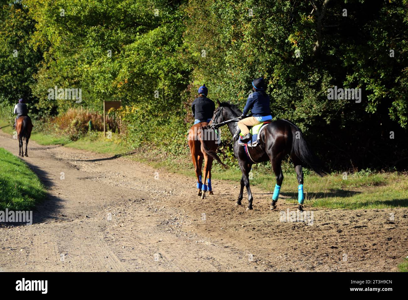 Montar a caballo (Hack Ride) por Epsom Downs Hipódromo Surrey Inglaterra Foto de stock