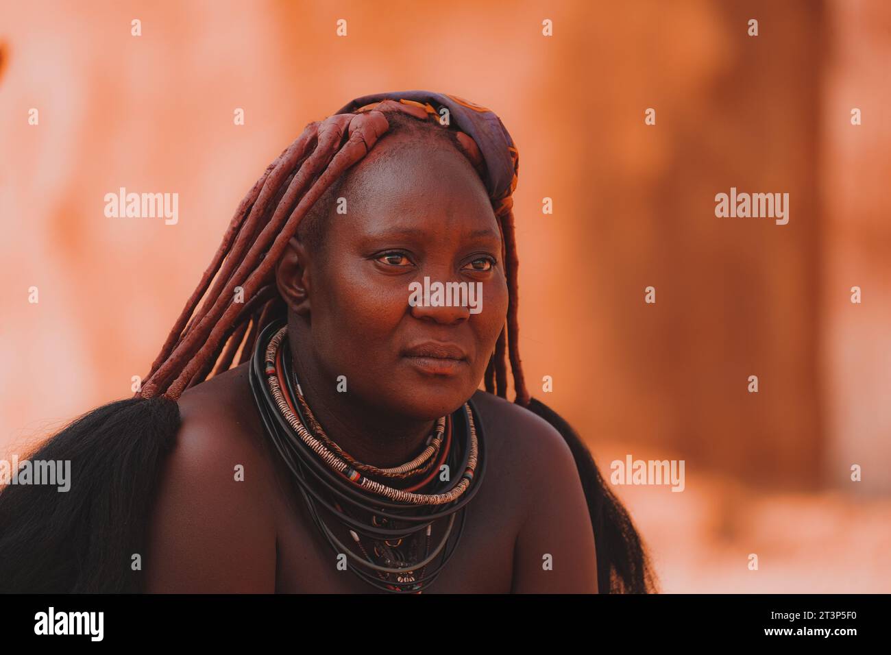 Comunidad Himba Foto de stock