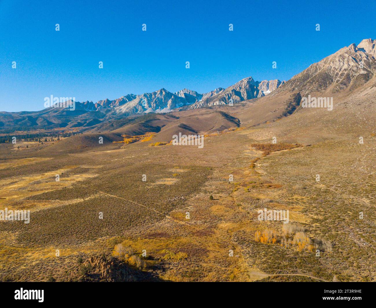Vistas aéreas de las montañas del este de Sierra Nevada tomadas con dron durante el otoño. cielo azul y follaje amarillo de otoño. Foto de stock