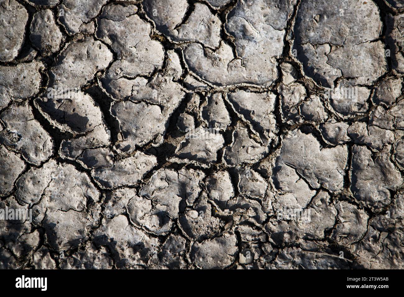 Textura de tierra seca Foto de stock