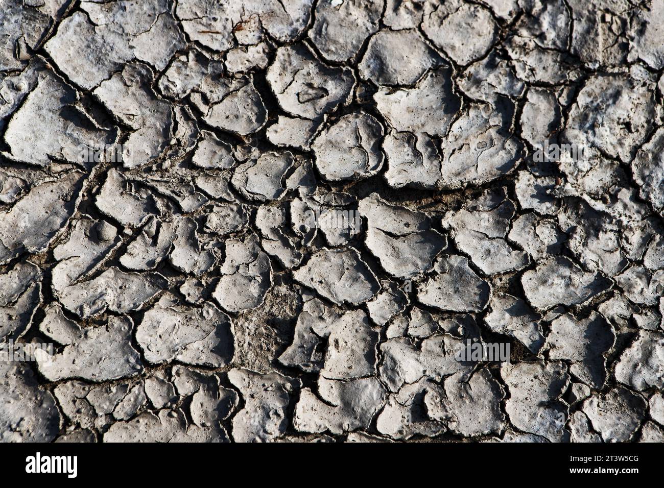 Textura de tierra seca Foto de stock