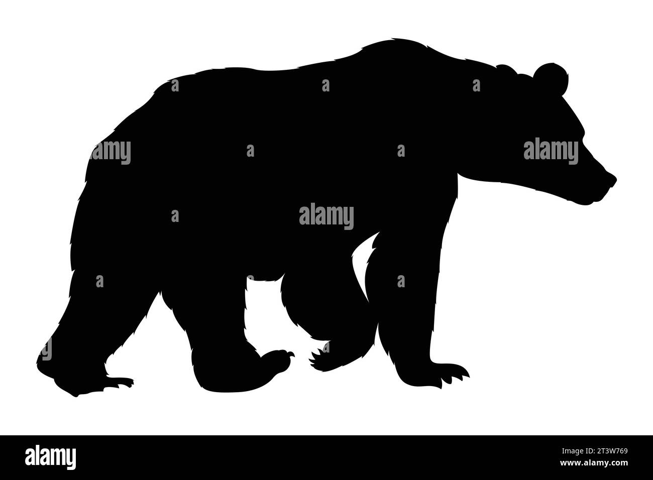 Ilustración de un conjunto de silueta de oso dibujado a mano Ilustración del Vector