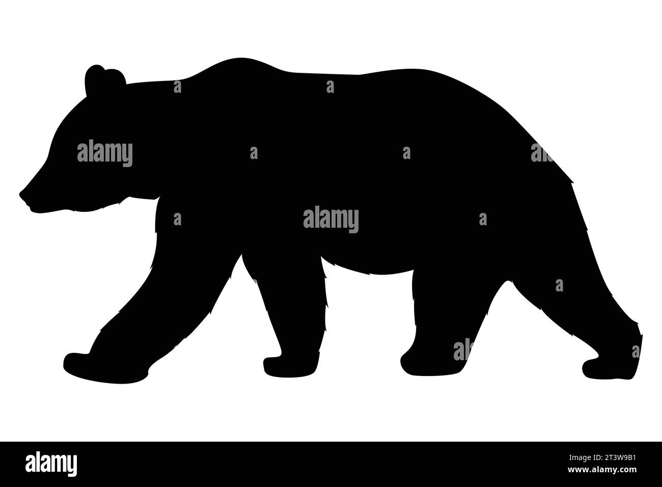 Ilustración de un conjunto de silueta de oso dibujado a mano Ilustración del Vector