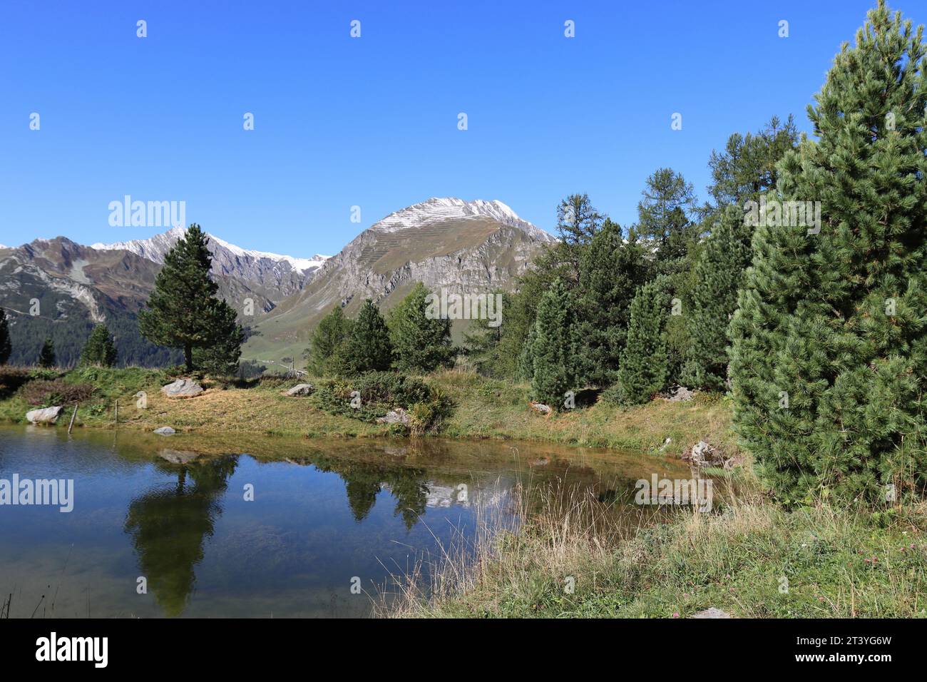 Frente a los picos nevados de las montañas en el fondo, las siluetas de los árboles se reflejan en un lago de montaña azul claro Foto de stock