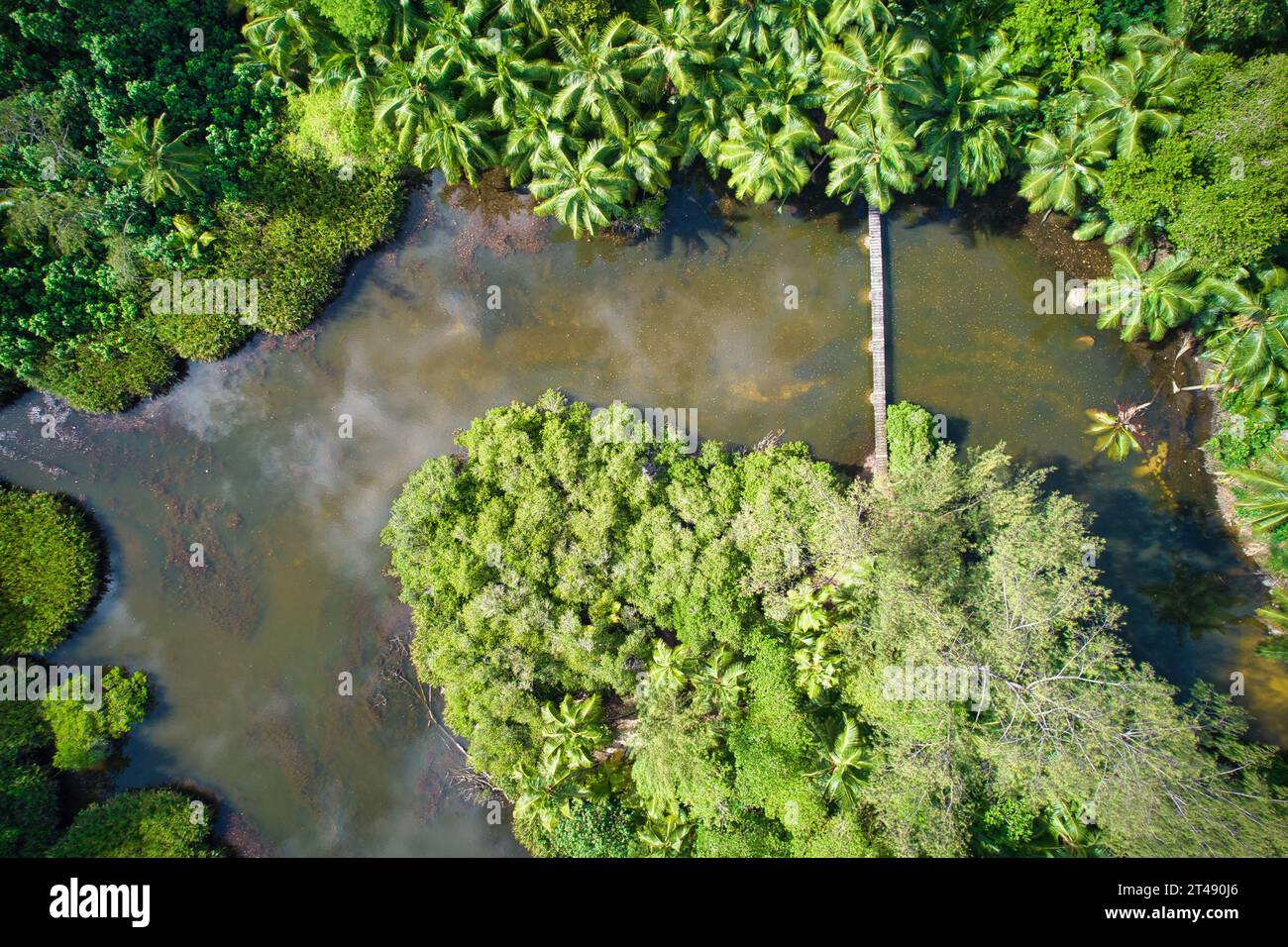 Drone vista de pájaro en la playa de Anse solei, puente sobre el río dentro del bosque Mahe Seychelles Foto de stock