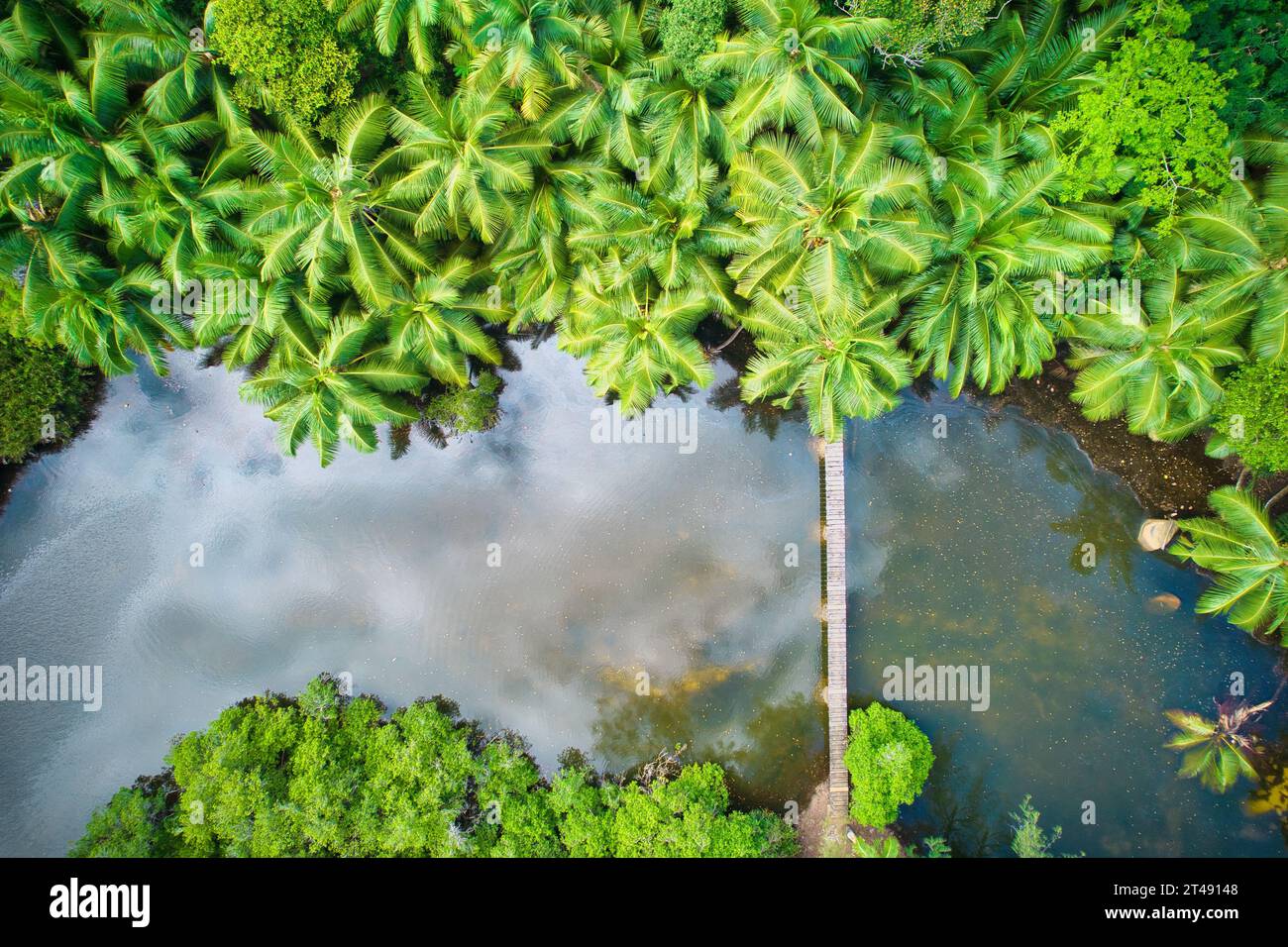 Drone vista de pájaro en la playa de Anse solei, puente sobre el río dentro del bosque Mahe Seychelles Foto de stock