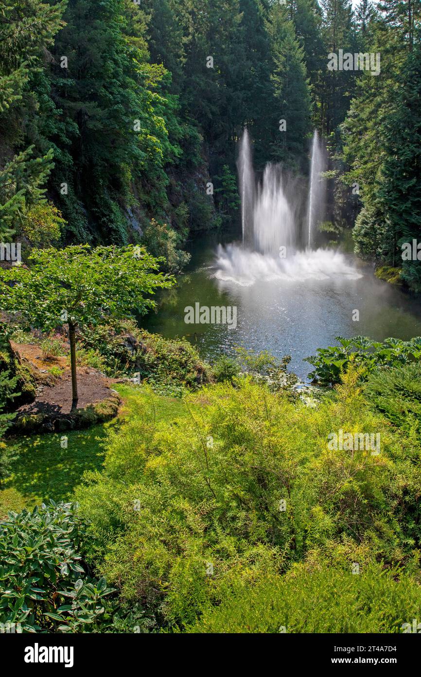 Fuente Ross, jardines Butchart Foto de stock