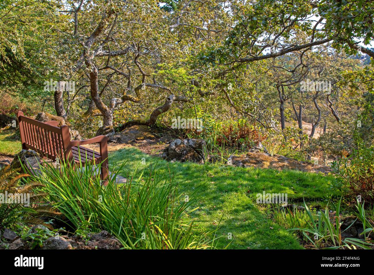 El jardín alpino y de roca en la casa de gobierno, Victoria, isla de Vancouver Foto de stock