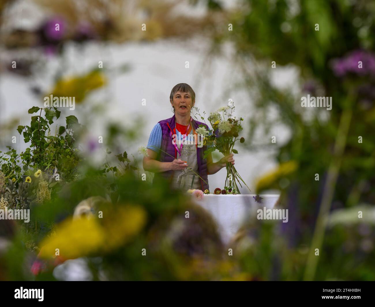 Flores de la granja que acoge la Escuela de Flores RHS (Sarah Smith floristería, da consejos de expertos) - Flower Show, Tatton Park 2023, Cheshire, Inglaterra, Reino Unido. Foto de stock