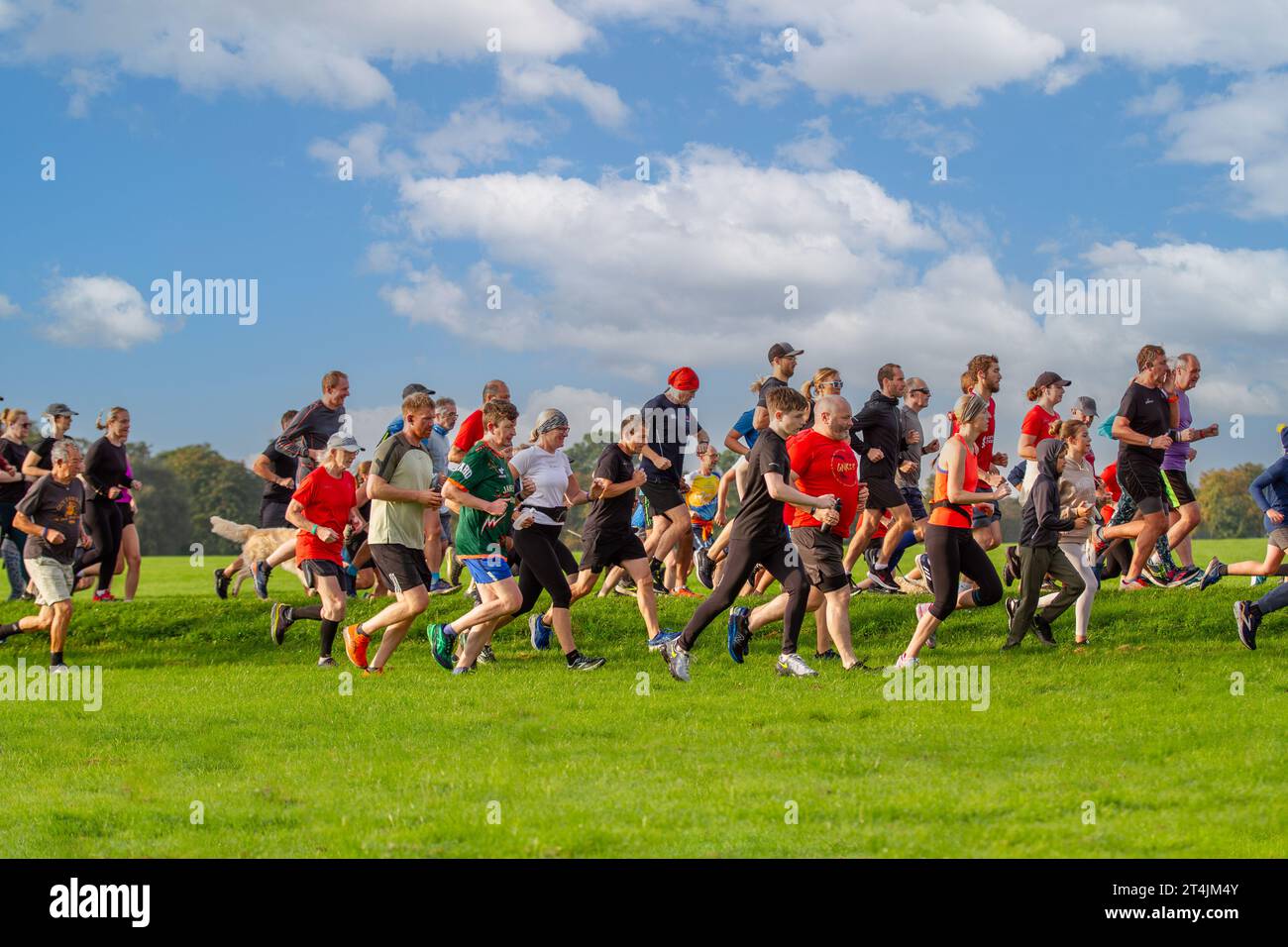HARROGATE, YORKSHIRE, REINO UNIDO - 30 DE SEPTIEMBRE DE 2023. Un grupo de personas de diferentes edades y habilidades corriendo juntos en un evento Parkrun del Reino Unido en un parque Foto de stock