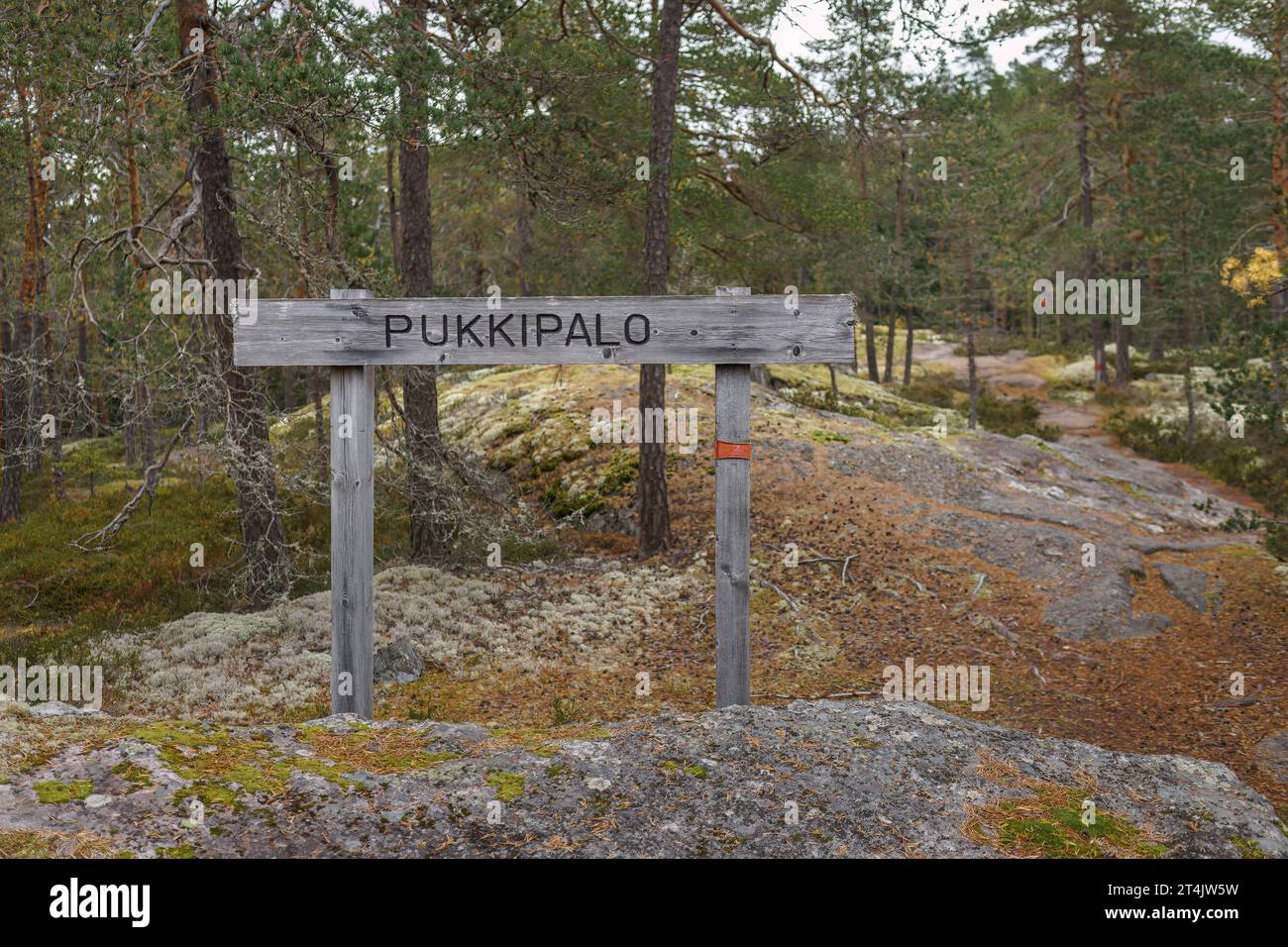 Signo Pukkipalo de madera en el Parque Nacional Kurjenrahka, Pöytyä, Finlandia. 17 de septiembre de 2023. Foto de stock