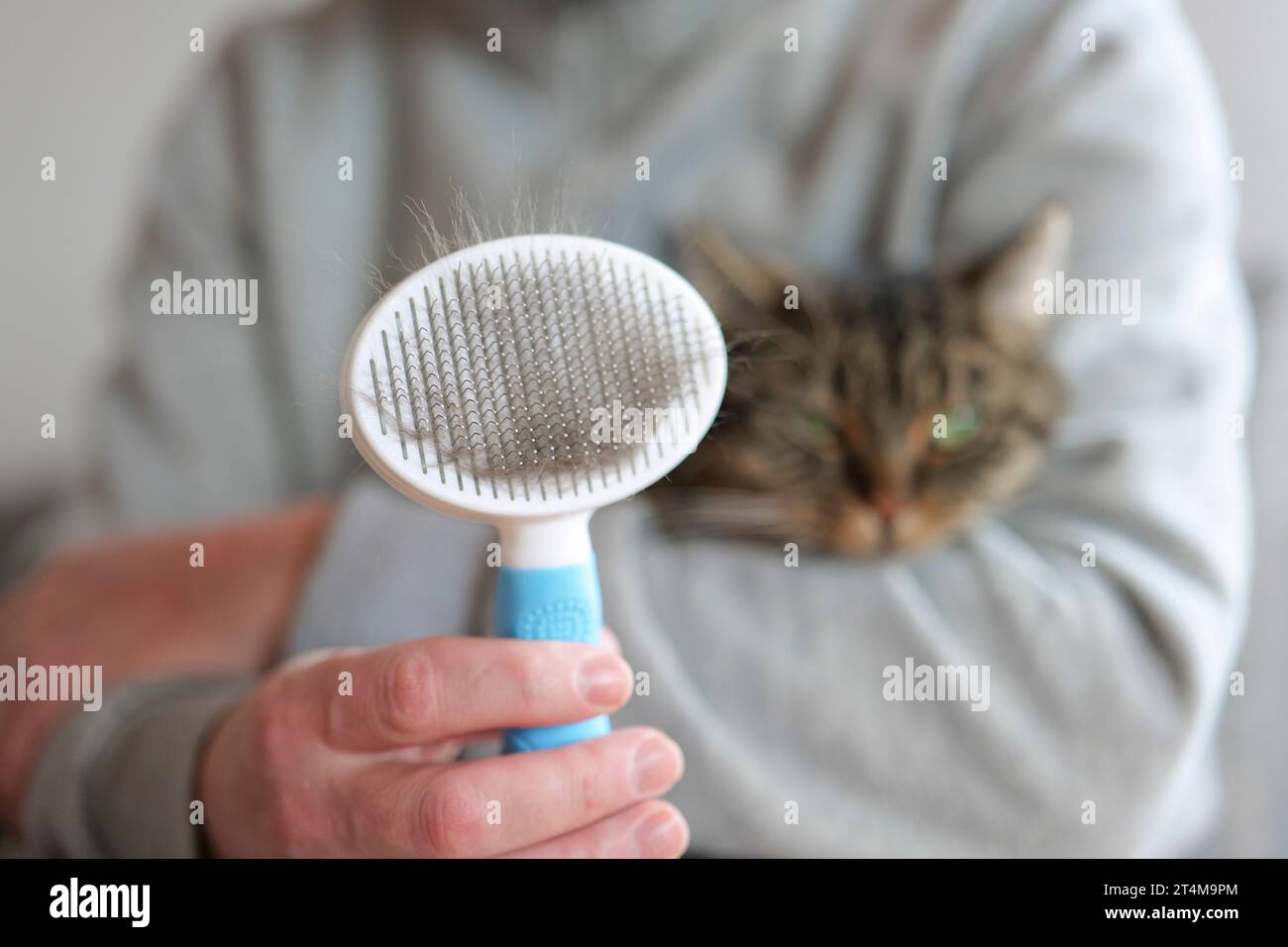 Cepillo Madera Cerdas Naturales Gatos Persa Siames Mascotas Trixie