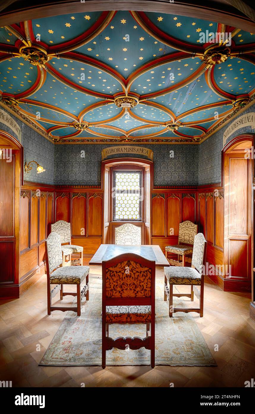 Fotografía interior, sala Ferdinand, biblioteca, monasterio y palacio de Bebenhausen, Baden-Wuerttemberg, Alemania Foto de stock