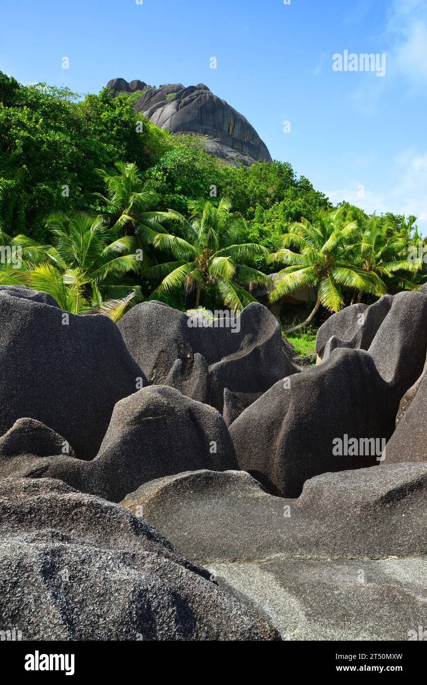 Paisaje tropical cerca de la playa de Anse Source d'Argent. Isla La Digue, Océano Índico, Seychelles. Foto de stock