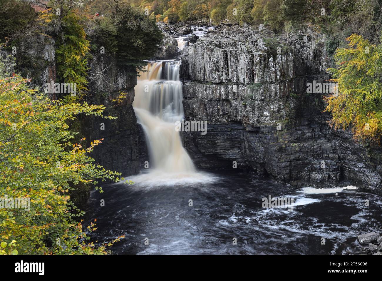 Cascada de alta fuerza en otoño, Teesdale, Condado, Durham, Reino Unido Foto de stock