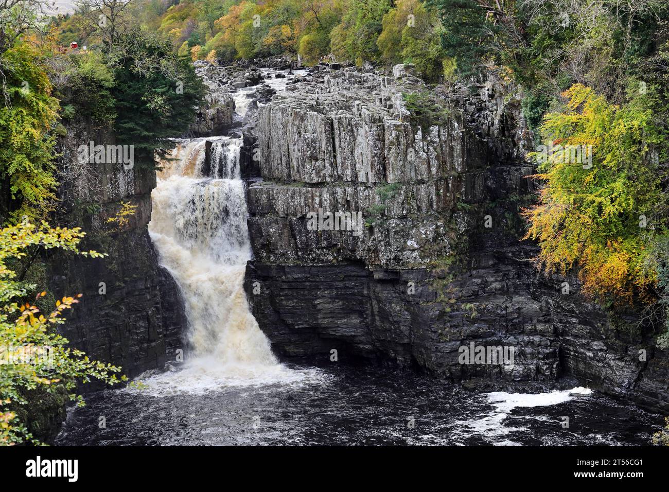 Cascada de alta fuerza en otoño, Teesdale, Condado, Durham, Reino Unido. Foto de stock