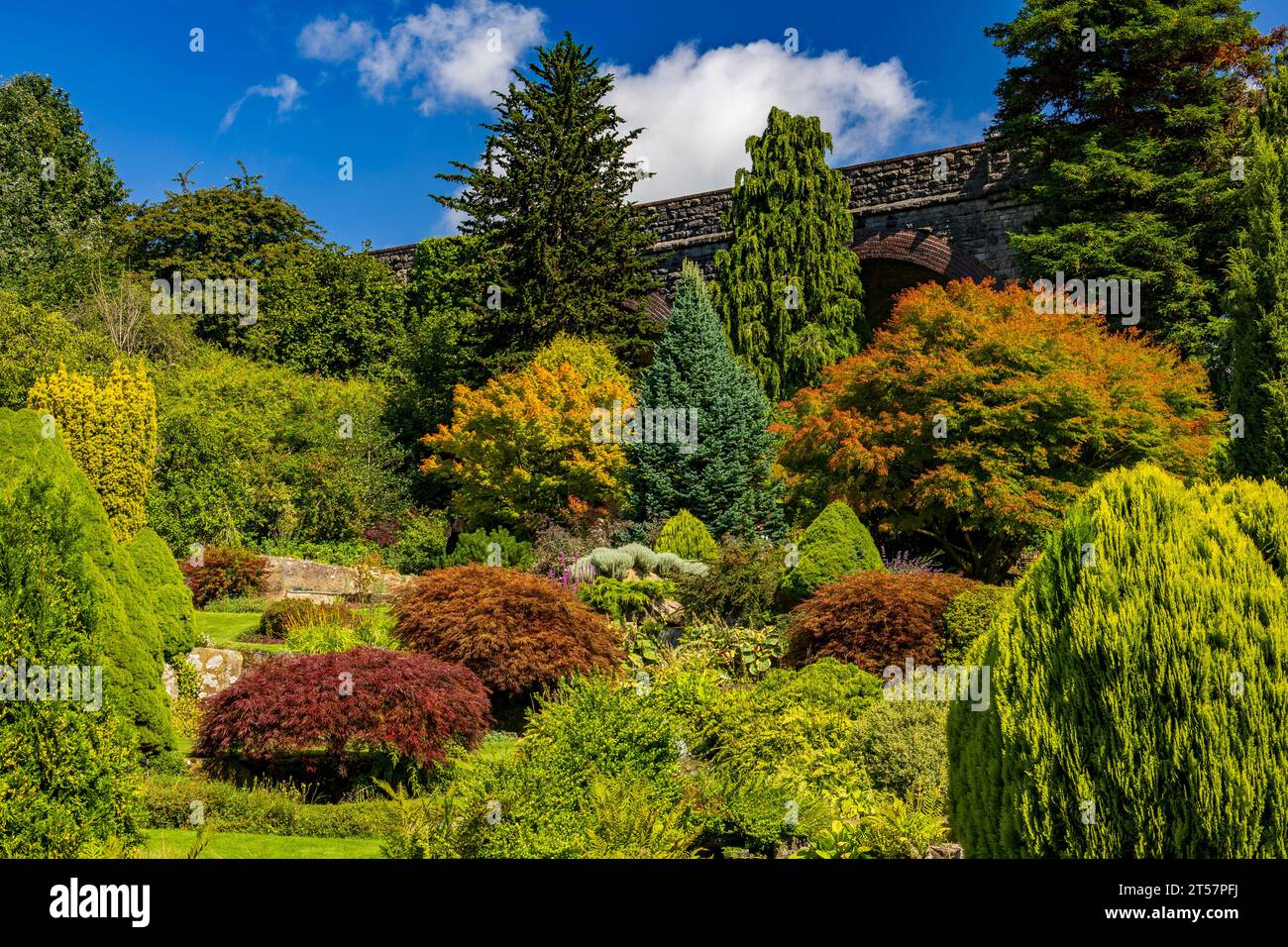 La colección inmaculadamente mantenida de árboles y arbustos en Kilver Court Gardens, Shepton Mallet, Somerset, Inglaterra, Reino Unido Foto de stock