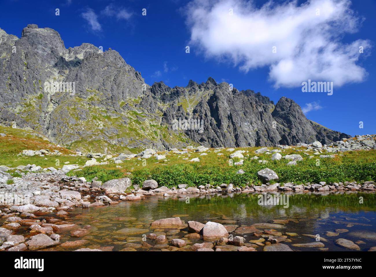 Pequeño lago cerca de Dlouhe pleso en el valle de Velicka, Vysoke Tatry (montañas Tatra), Eslovaquia. Foto de stock