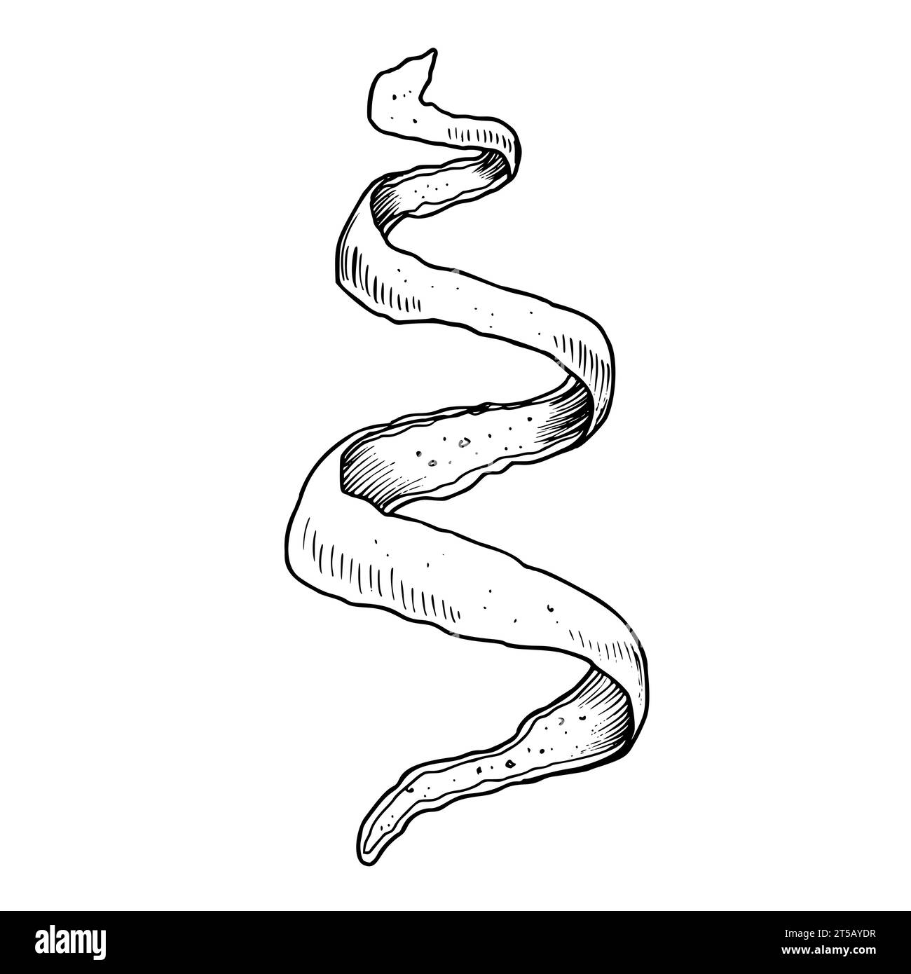 Una caricatura de un cuaderno de espiral, vector, el color de dibujo o  ilustración Imagen Vector de stock - Alamy